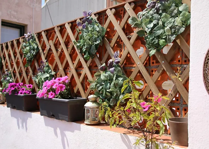 Apartament L'Alzina