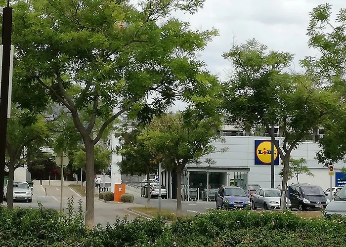 Primera Linea De Mar Con Piscina En Ebrehogar