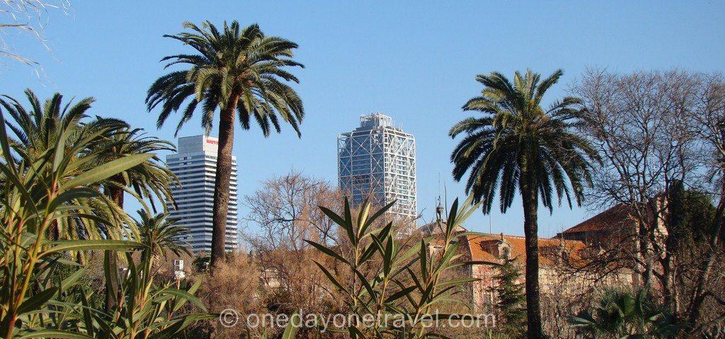 Port Olympique Barcelone palmier tour